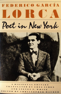 Image of Poet in New York